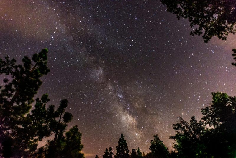 pexels-maverick-f-161731321-10841112